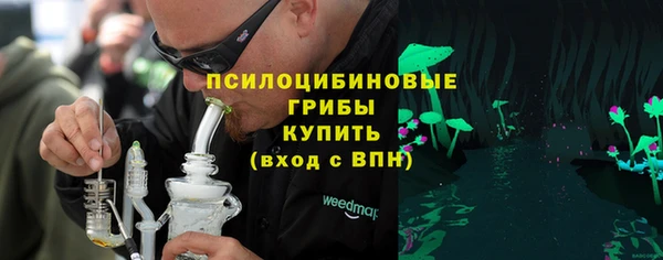 гашик Богородицк