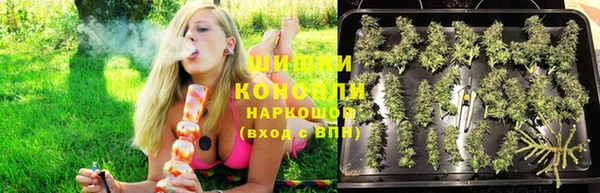 гашик Богородицк